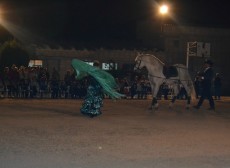 DSC_0102