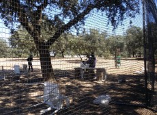 XXXVII_SEMANA_CULTURAL_210