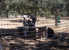 XXXVII_SEMANA_CULTURAL_212