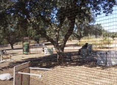 XXXVII_SEMANA_CULTURAL_214